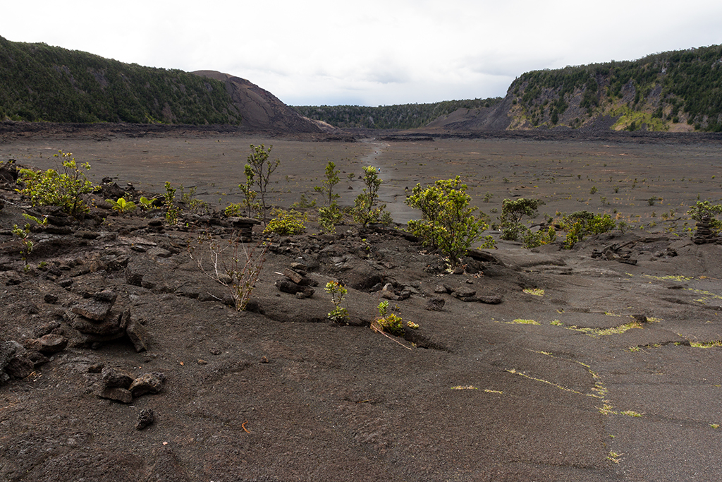 Hawaii - 042.jpg